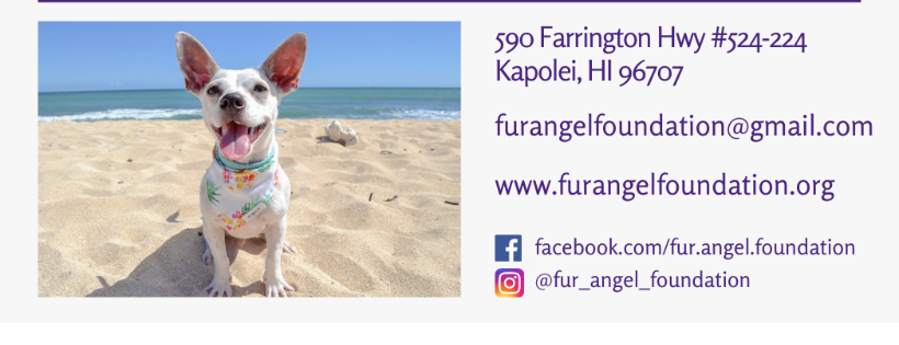 Fur Angel Foundation Cover Photo